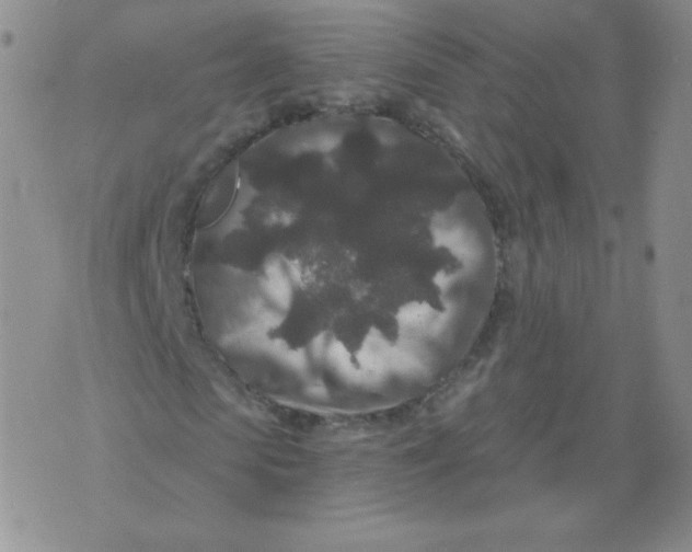 X0000071850913200607211848