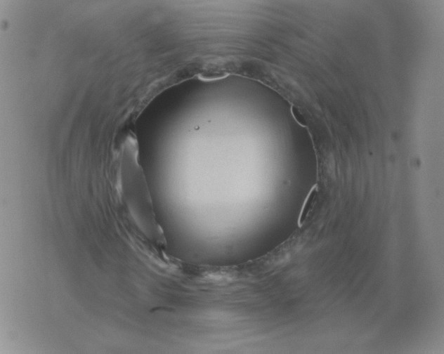 X0000071850914200607211848