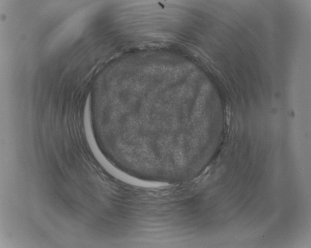 X0000071850915200607211848