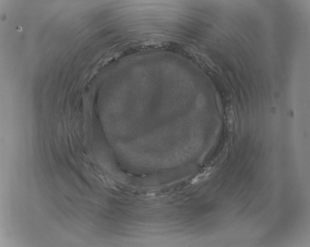 X0000071850916200607211848