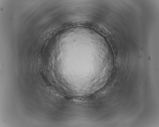 X0000071850917200607211848