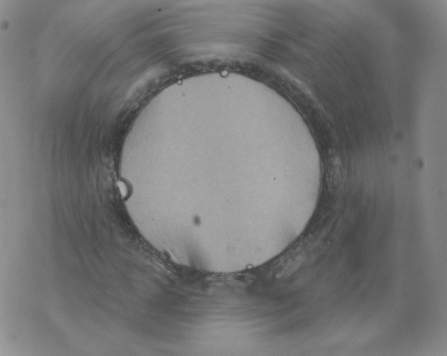 X0000071850918200607211848