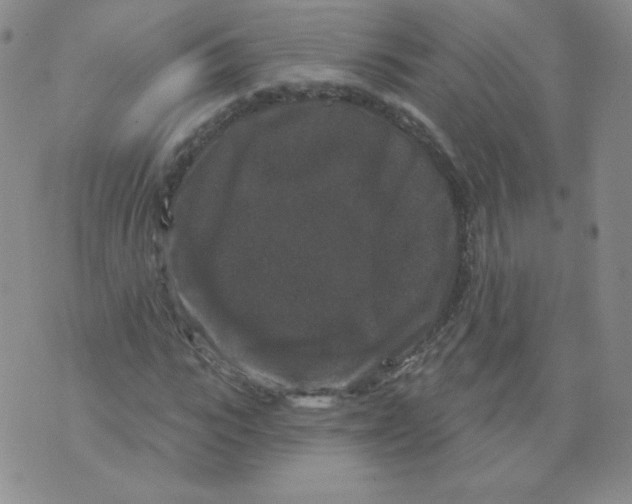 X0000071850919200607211848