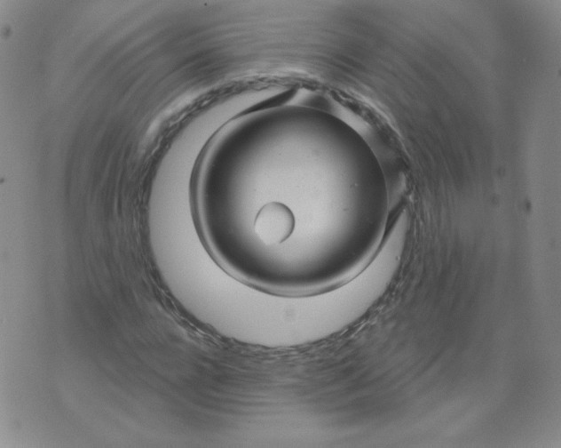 X0000071850920200607211848