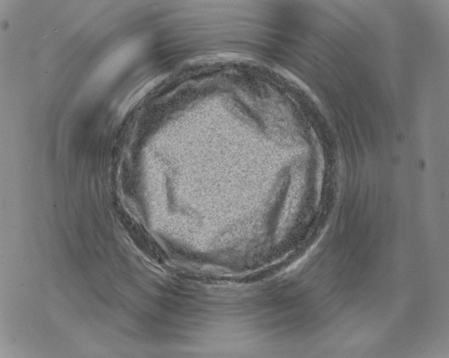 X0000071850921200607211848