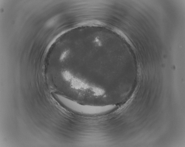 X0000071850923200607211848