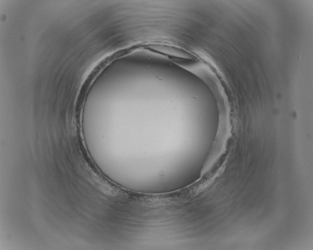 X0000071850924200607211848