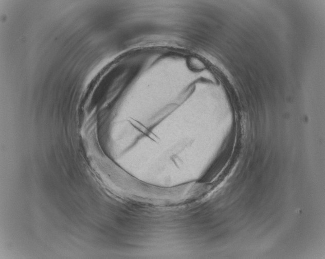 X0000071850925200607211848