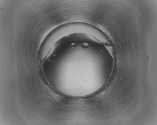 X0000071850926200607211848