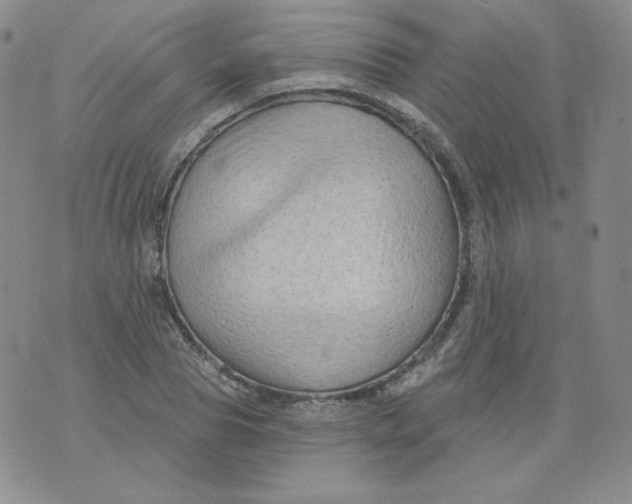 X0000071850929200607211848