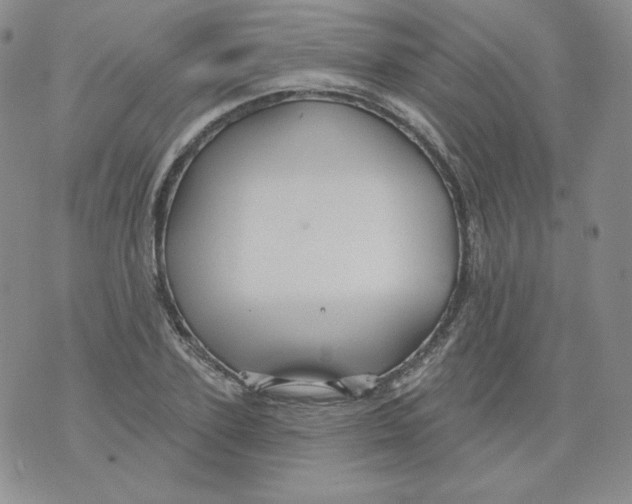 X0000071850931200607211848