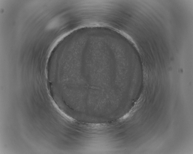 X0000071850935200607211849