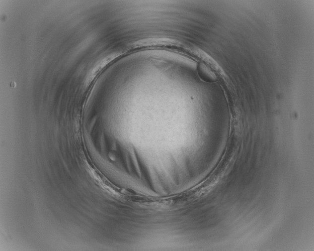 X0000071850937200607211849