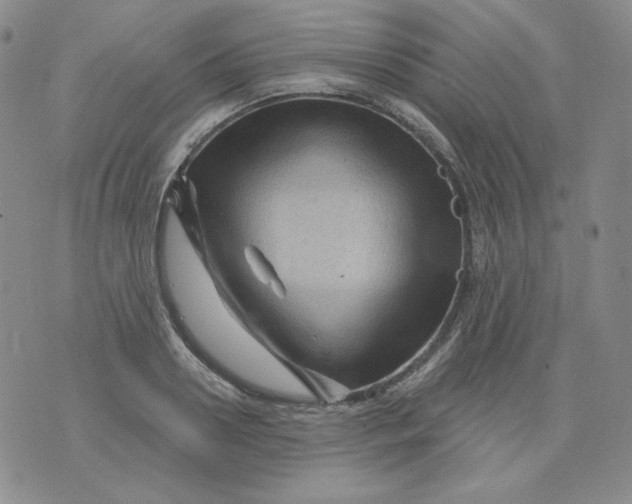 X0000071850938200607211849