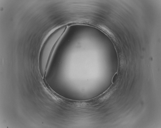 X0000071850940200607211849