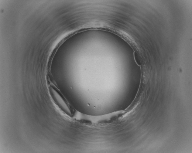 X0000071850942200607211849