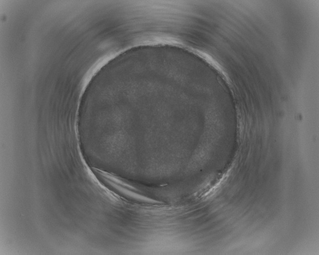 X0000071850943200607211849