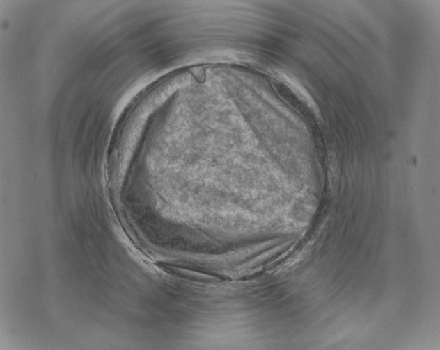 X0000071850944200607211849