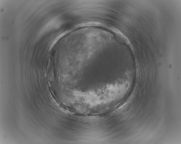 X0000071850945200607211849