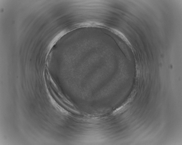 X0000071850946200607211849