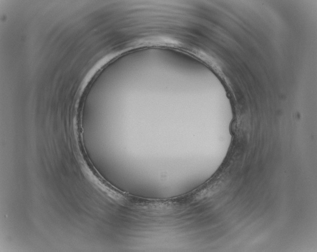 X0000071850947200607211849