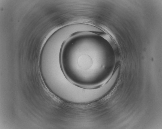 X0000071850948200607211849