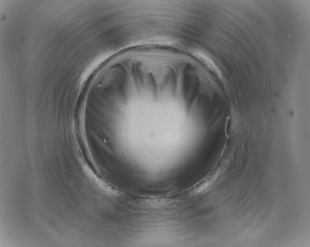 X0000071850952200607211849