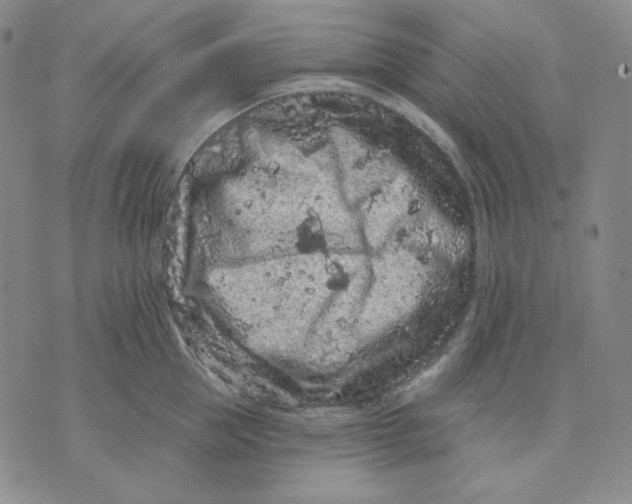 X0000071850953200607211849