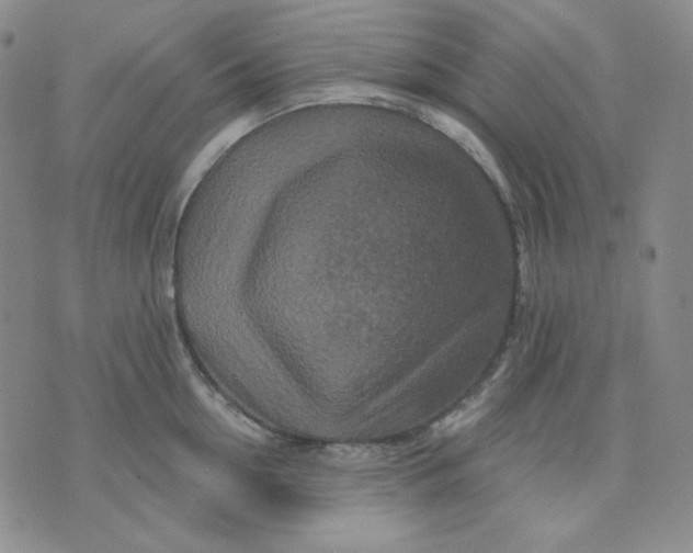 X0000071850954200607211849