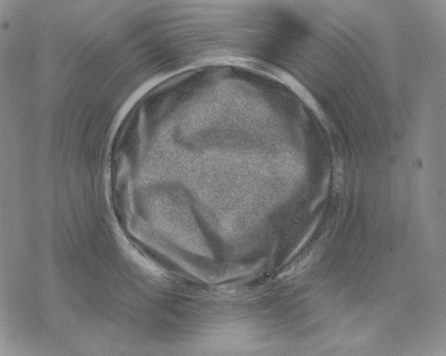 X0000071850955200607211849