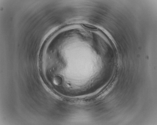 X0000071850957200607211849