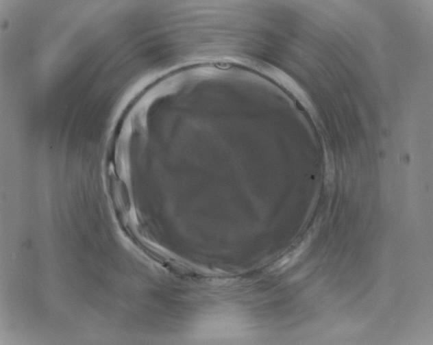 X0000071850958200607211849