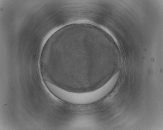 X0000071850959200607211849