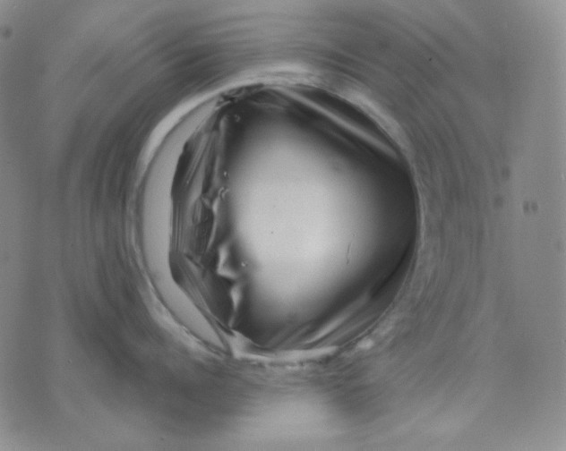 X0000071850960200607211849