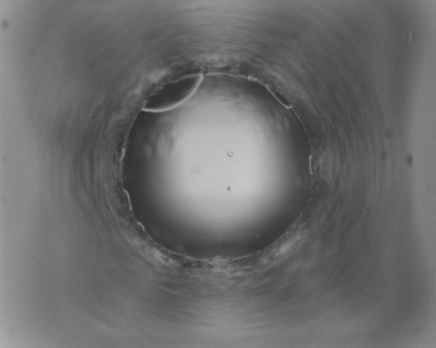 X0000071850961200607211848