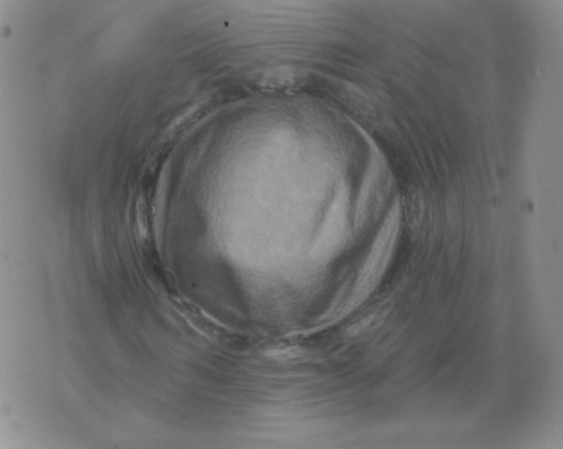 X0000071850962200607211848