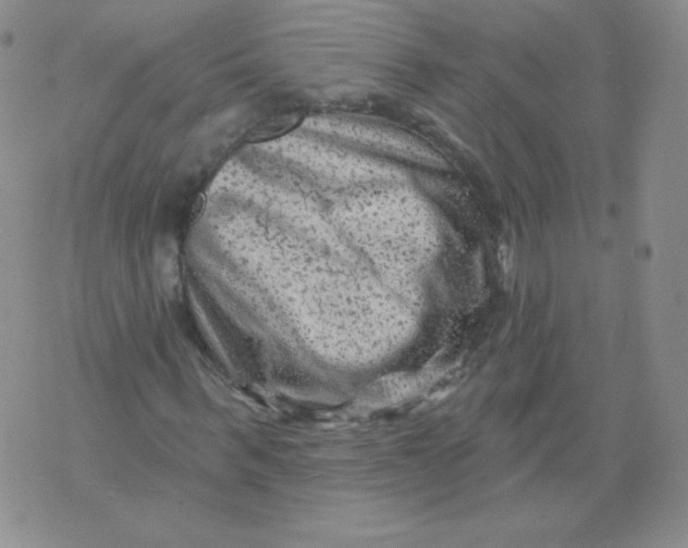 X0000071850963200607211848