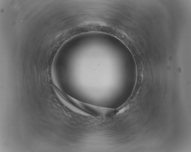 X0000071850965200607211848