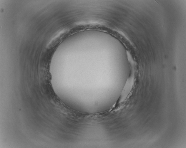 X0000071850967200607211848