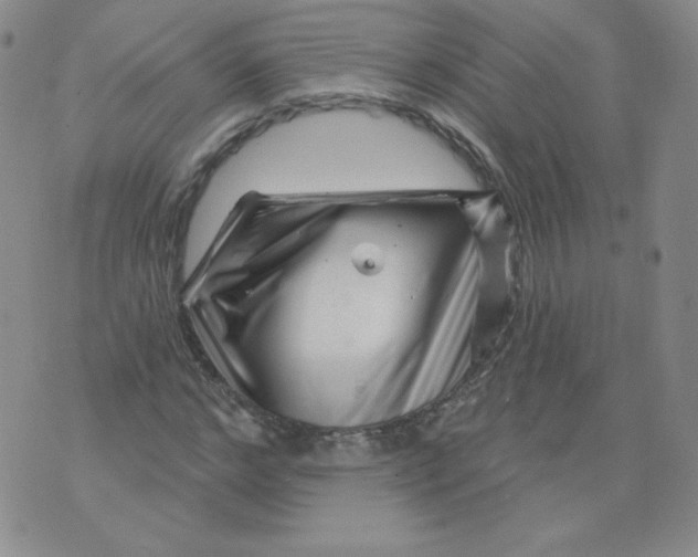 X0000071850968200607211848