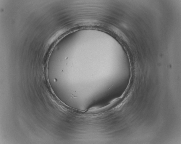 X0000071850970200607211848