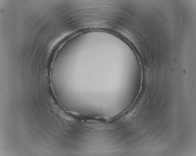 X0000071850971200607211848