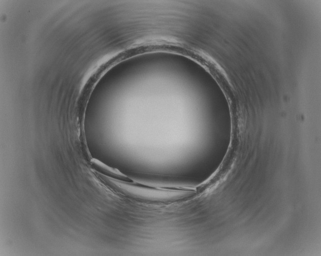 X0000071850973200607211848