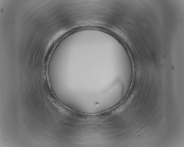 X0000071850974200607211848