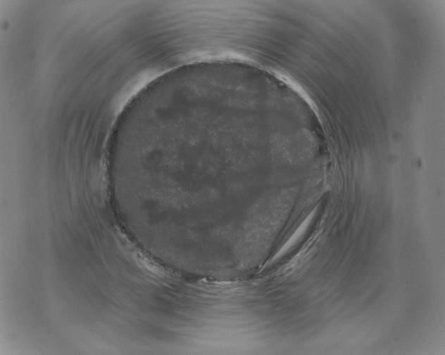 X0000071850975200607211848