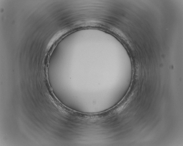 X0000071850978200607211848