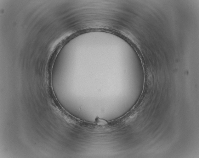 X0000071850979200607211848