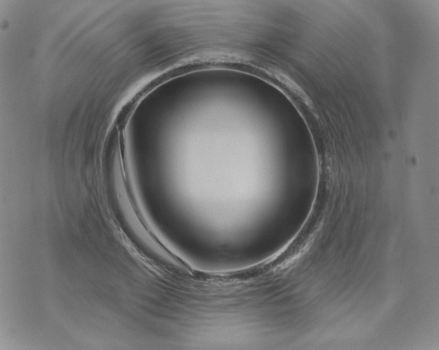 X0000071850981200607211848