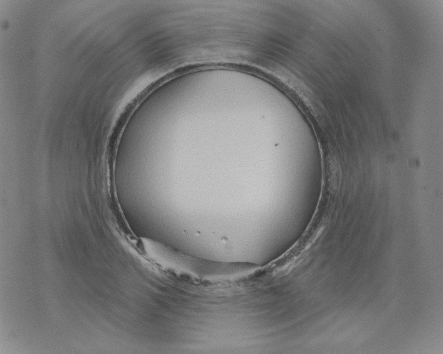 X0000071850982200607211848