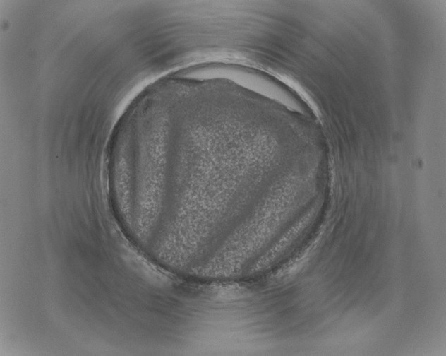 X0000071850983200607211848